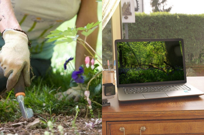 Team building virtuel, où ils devront résoudre un maximum de questions et ateliers sur des thématiques du développement durable les participants s’affronteront en toute bienveillance pour gagner des points dans le but de planter des arbres en France.