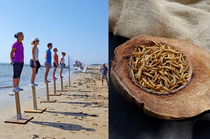 Team Building Sportif, aussi physique que mental permet à chaque participant de se dépasser dans un environnement naturel. épreuves des poteaux, manger des insectes